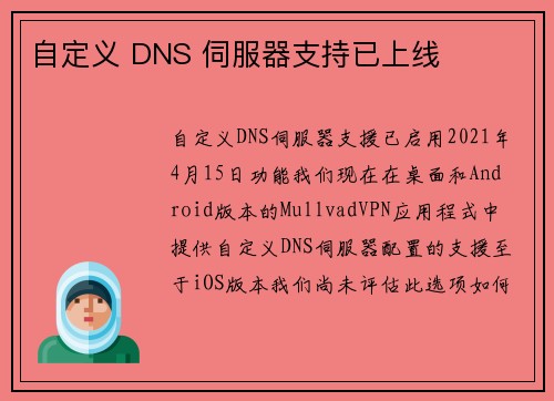 自定义 DNS 伺服器支持已上线 